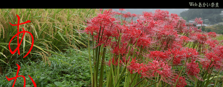 �������ޗ�